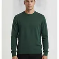 Pimlico Crew Knit in Forest, model shot on white